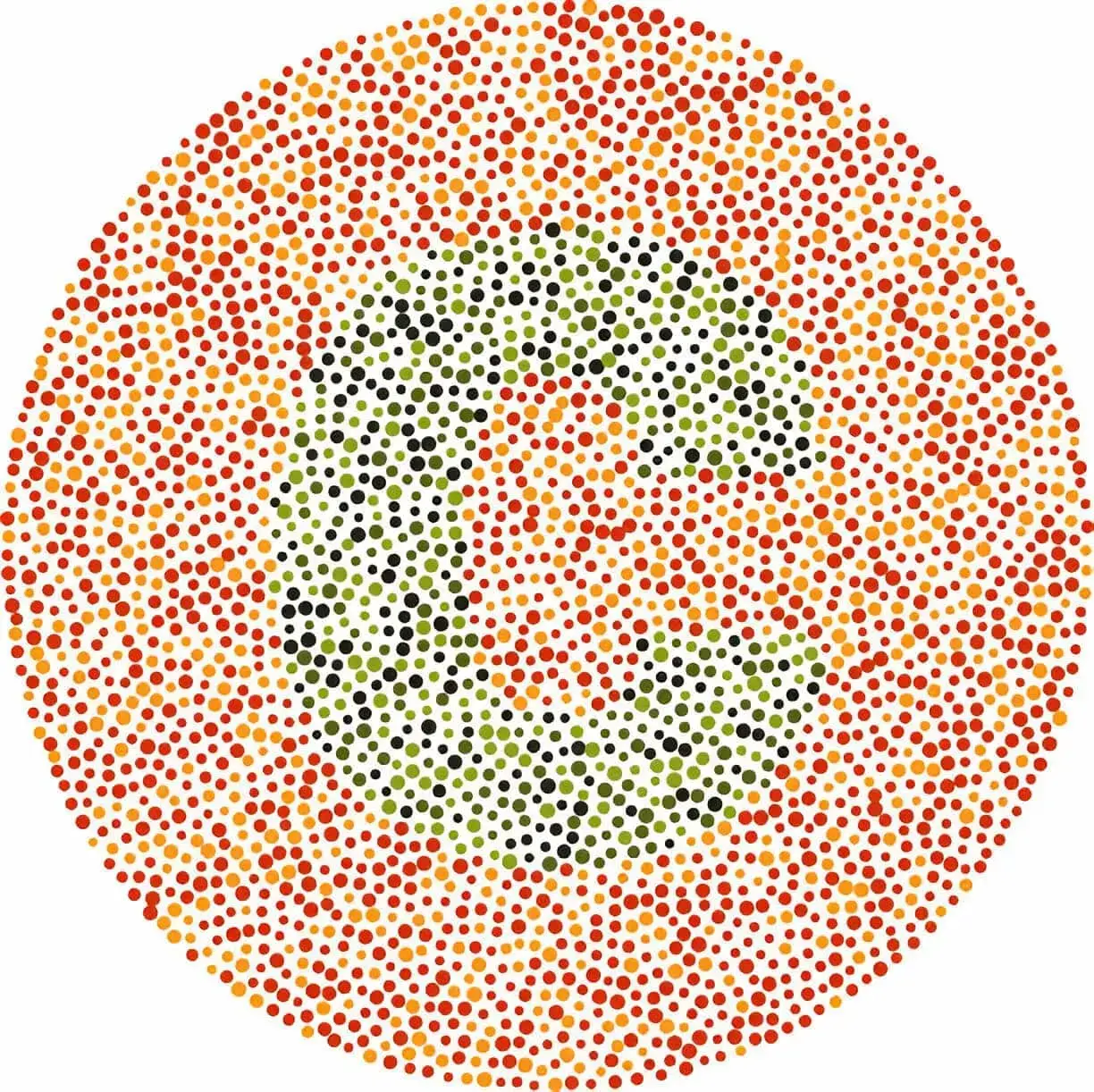 Color Blindness Types